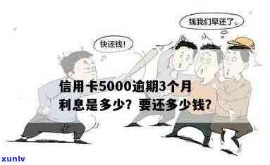 信用卡5000利息怎么算-信用卡5000利息怎么算利息