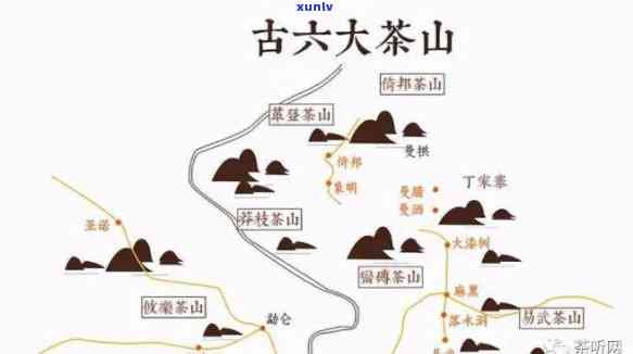 昔归古树茶：产地、特点全面解析