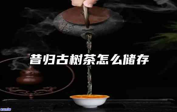 苦兰菊茶有什么作用-苦兰菊茶有什么作用和功效