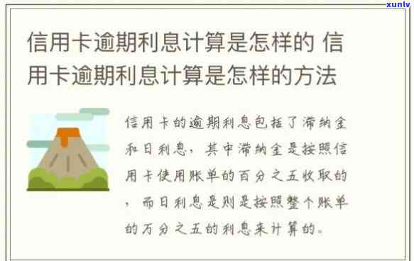 行用卡逾期利息计算  ：详细解析与实例说明