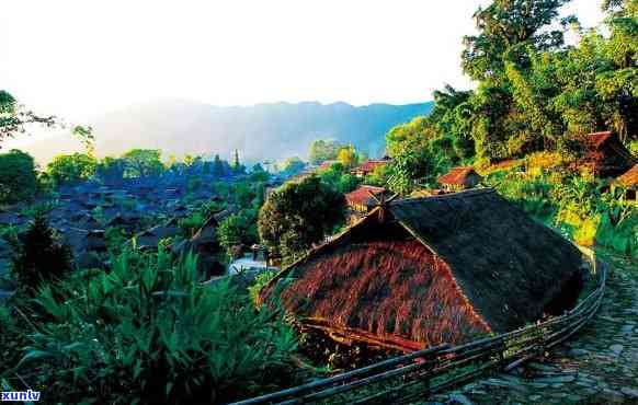 临沧昔归景点，【云南旅游】茶香四溢，探访临沧昔归古茶园及传统村落