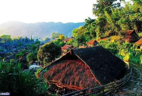 临沧昔归景点，【云南旅游】茶香四溢，探访临沧昔归古茶园及传统村落