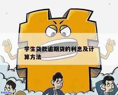 全面解析：贷款、助学贷款逾期利息计算  