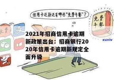 信记号普洱茶怎么样？品质、价格及收藏价值全解析