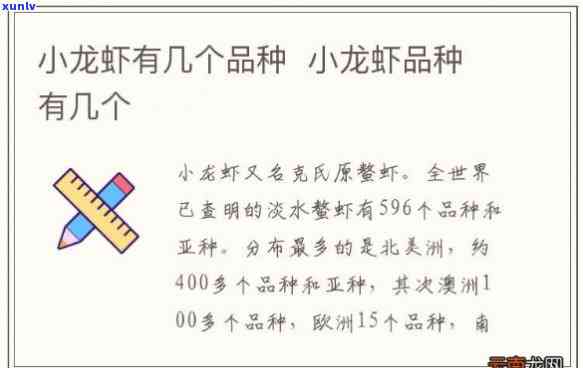 小龙石是什么？性质、种类及颜色全解析