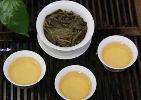 昔归园：体验纯正昔归紧压茶与茶文化生活