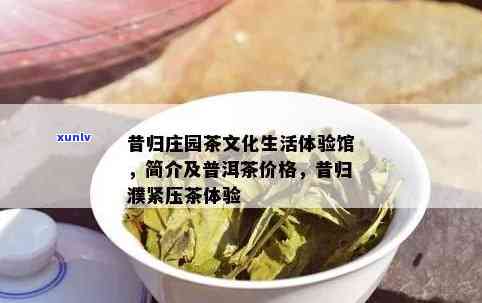 昔归园：体验纯正昔归紧压茶与茶文化生活