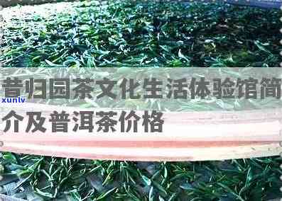 昔归园：体验纯正昔归紧压茶与茶文化生活