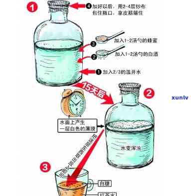 红茶菌一定要放茶水吗？探讨其必要性与原因