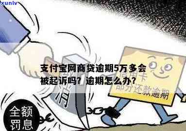 支付宝逾期5万元以上及5万元以下有什么区别，支付宝逾期：5万元以上与5万元以下有何不同？