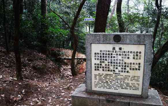 下关忙麓山对比昔归-下关 忙麓山