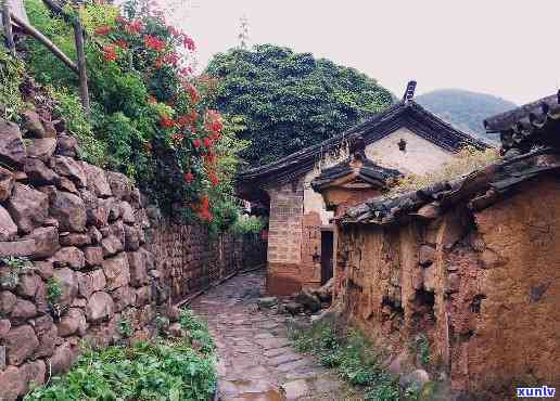 昔归村对面村叫什么-昔归村对面村叫什么名字