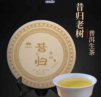 昔归茶：生茶还是熟茶？了解其档次与分类