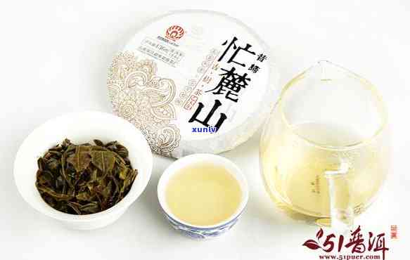 昔归忙麓山茶的口感-昔归忙麓山古树茶特点