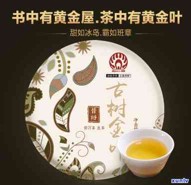 昔归黄金叶属于什么茶，探秘茶叶世界：揭秘昔归黄金叶的品种归属