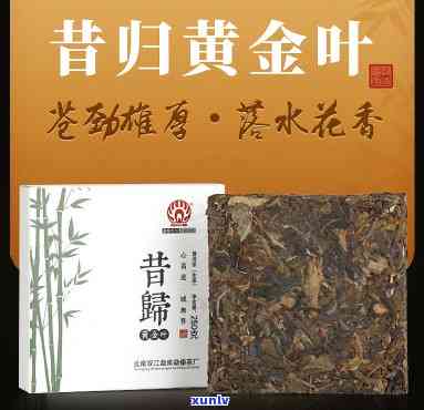 昔归黄金叶属于什么茶，探秘茶叶世界：揭秘昔归黄金叶的品种归属