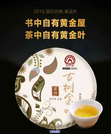 昔归黄金叶属于什么茶，探秘茶叶世界：揭秘昔归黄金叶的品种归属