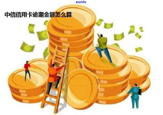 怎样计算中信银行信用卡违约金？详细步骤解析