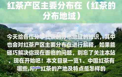 很抱歉，我不太明白您的意思。您能否再解释一下您的问题？??-抱歉我不太明白你的意思 翻译