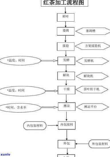 红茶的初制工艺是什么？详解其 *** 流程与 *** 