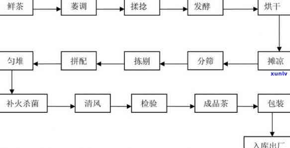 详解红茶的初制工艺与关键步骤