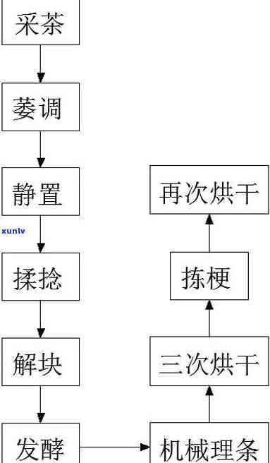 详解红茶的初制工艺与关键步骤