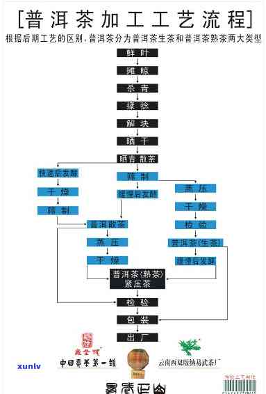 翡翠冰种和晴水哪种好，翡翠冰种和晴水：哪种更适合你？