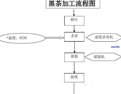 红茶加工工艺流程图-红茶加工工艺流程图片