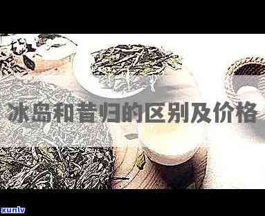 昔归与冰岛口感区别，品味差异：比较昔归和冰岛的口感特点