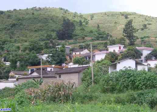 临沧市临翔区昔归村书记身份揭秘