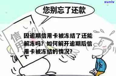 逾期后信用卡被冻结：怎样解冻及留意事