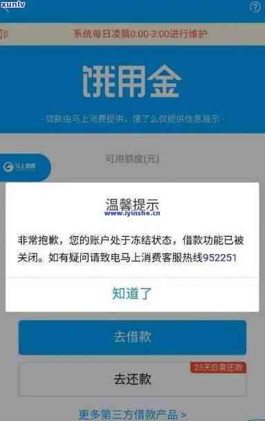 借呗逾期支付宝冻结，支付宝冻结：借呗逾期引起账户受限