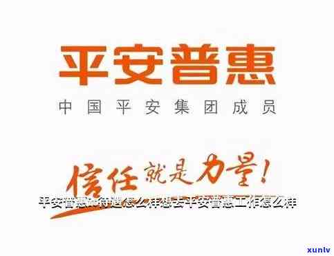 平安普怎么没人搞他-平安普为什么没人管