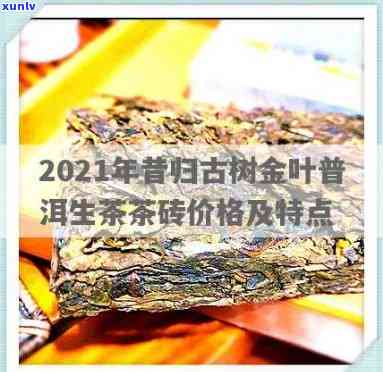 昔归古树黄金叶价格-2021年昔归古树叶价格