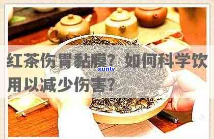 红茶会伤胃粘膜吗？探讨其原因与影响