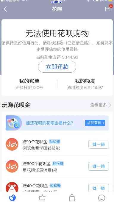 花呗还不起，能否申请期？解决方案是什么？