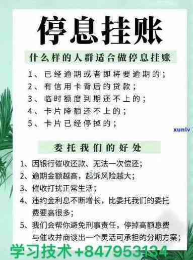 停息挂账团队是真的吗？官网、贴吧、论坛全面解析