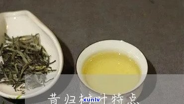 昔归茶叶的叶片的特点，探秘昔归茶叶：叶片的独特特点解析