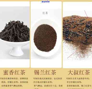 天猫红茶排行榜前十：最新热门揭晓