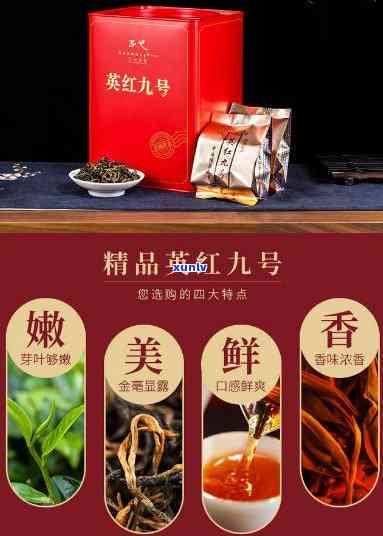 英红九号红茶价格：等级划分与更高价解析