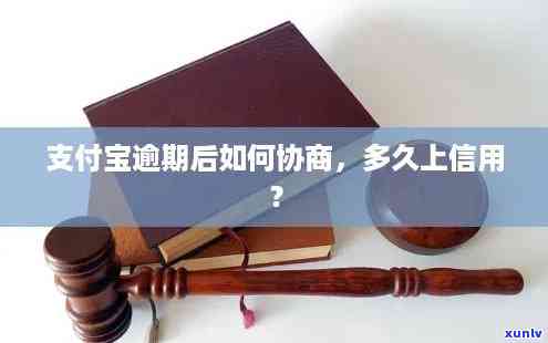 支付宝逾期协商新政策解析：是不是真实有效？