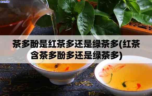 红茶茶多酚含量围-红茶茶多酚含量围多少