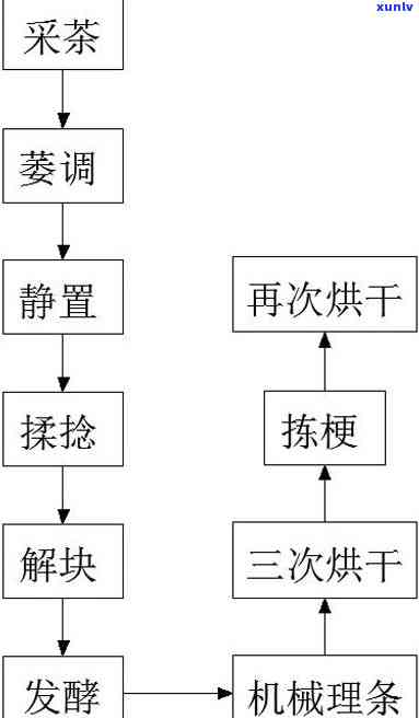 红茶按加工工艺分为几三大类，探讨红茶的加工工艺：三大主要分类及其特点