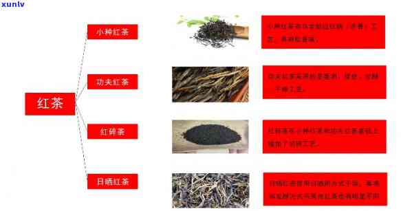 红茶按加工方式分为-红茶按加工方式分为哪几类