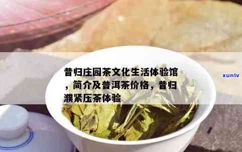 昔归园简介：探索茶文化生活体验馆与园事长的故事