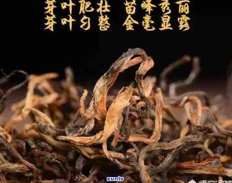 红茶一股霉味是怎么回事，疑惑：红茶中为何会有一股霉味？