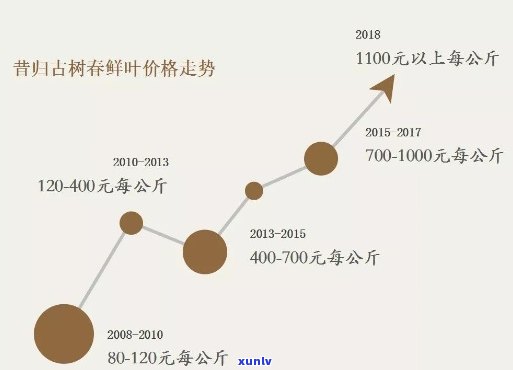 昔归古树茶2020年价格及2021年走势分析