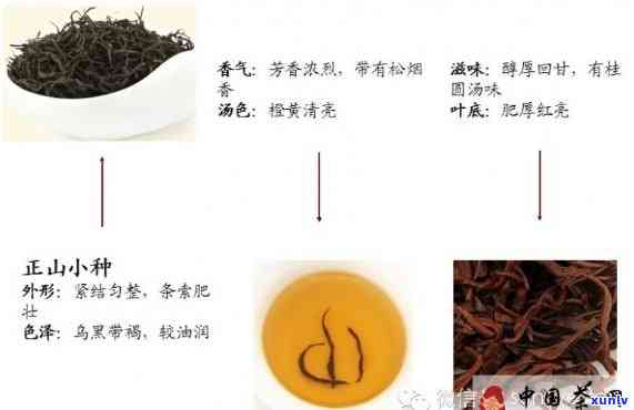 红茶有花香味：种类与特点解析