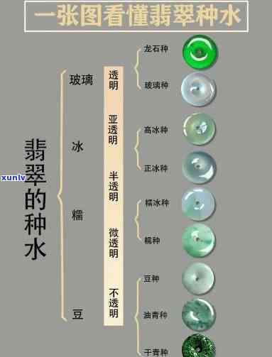 翡翠嫩种的基本信息：颜色介绍与图片展示