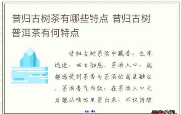 全面了解昔归古树：介绍、价格与口感深度解析